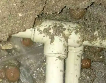 墨玉测漏水多少钱